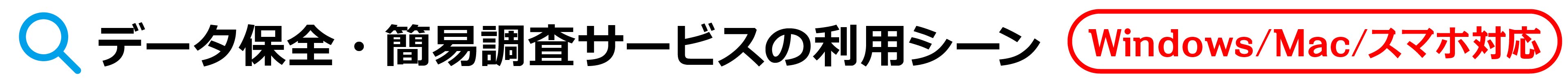 データ保全・簡易調査サービス